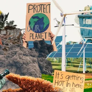 The Biggest Climate Headlines of 2024